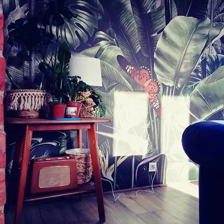 La Boheme Przy Starowce شقة *