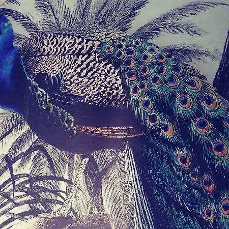 La Boheme Przy Starowce شقة