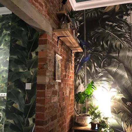 La Boheme Przy Starowce *